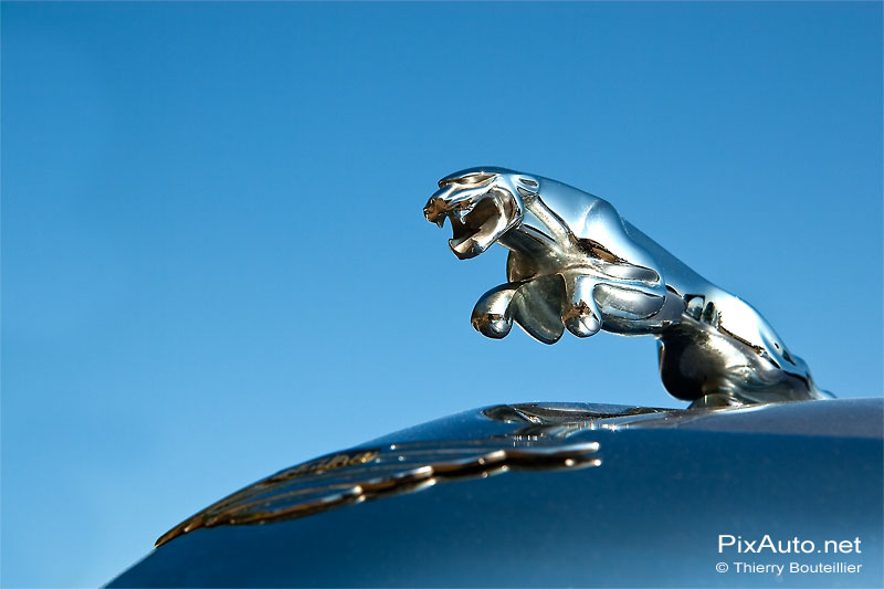 Mascotte Jaguar excellence automobile de Reims