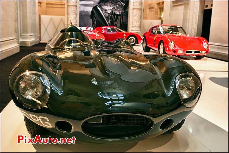 jaguar xkd de 1955 collection ralph lauren