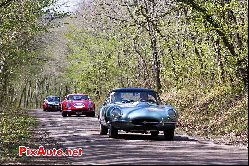 jaguar en sous bois tour auto 2012