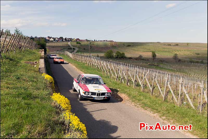 BMW 2800 CS, Vignes Alsace, Tour-Auto-Optic-2000 