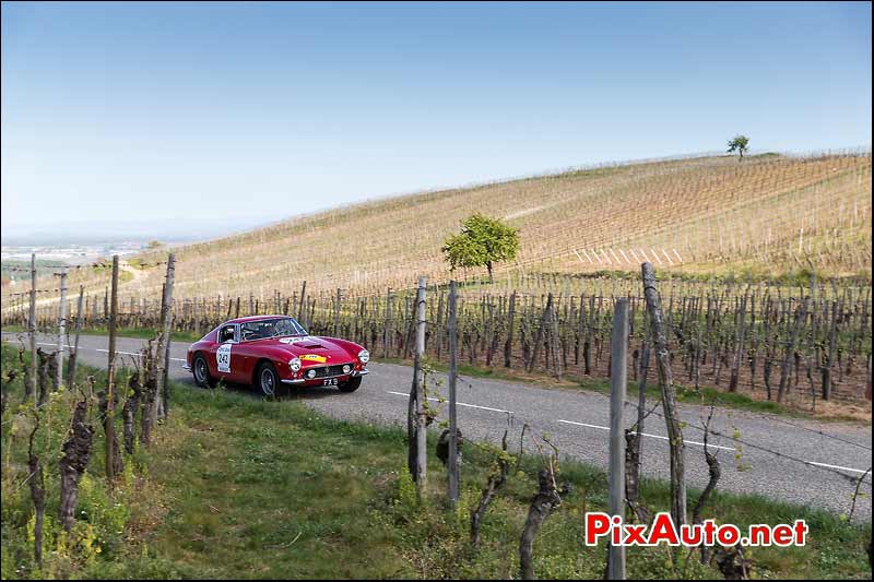 Ferrari 250 GT SWB, Vignes Alsace, Tour-Auto-Optic-2000 