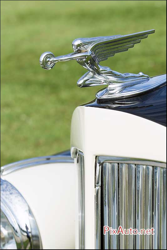 Chantilly-Arts-&-Elegance, Mascotte Automobile Packard Eight