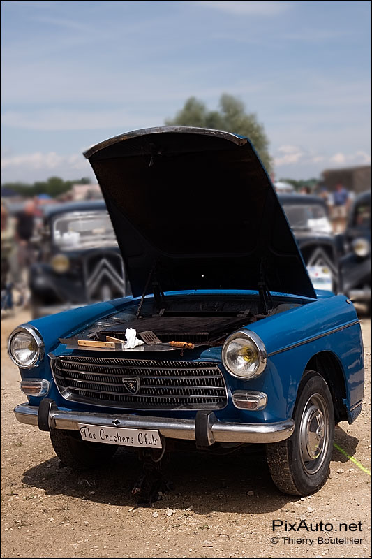 Le cote festif de la Locomotion, barbecue peugeot