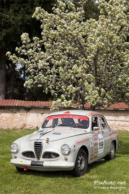 Alfa romeo 1900 Ti.