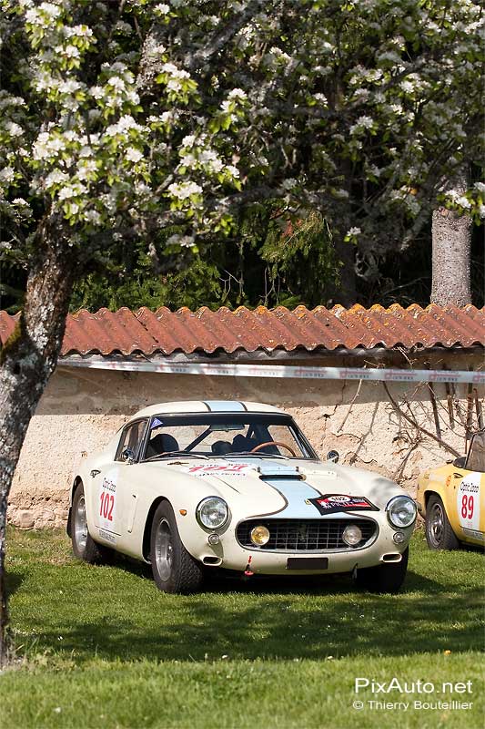 Ferrari 250 GT SWB.