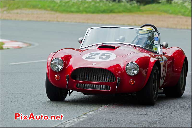 shelby ac cobra 289 fia