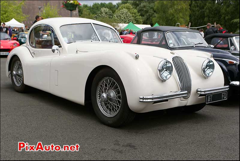 coupe jaguar xk120 au classic british welcome