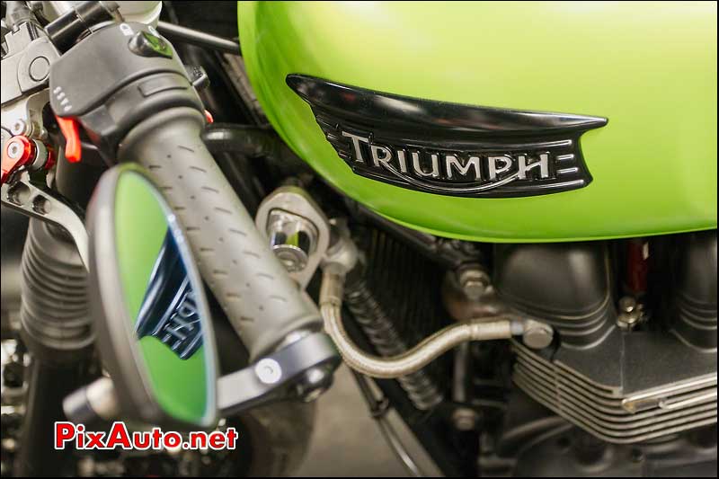 sigle triumph thruxton 900