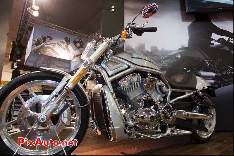 harley-davidson vrod 10th anniversary edition