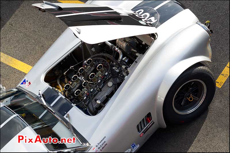 moteur shelby cobra