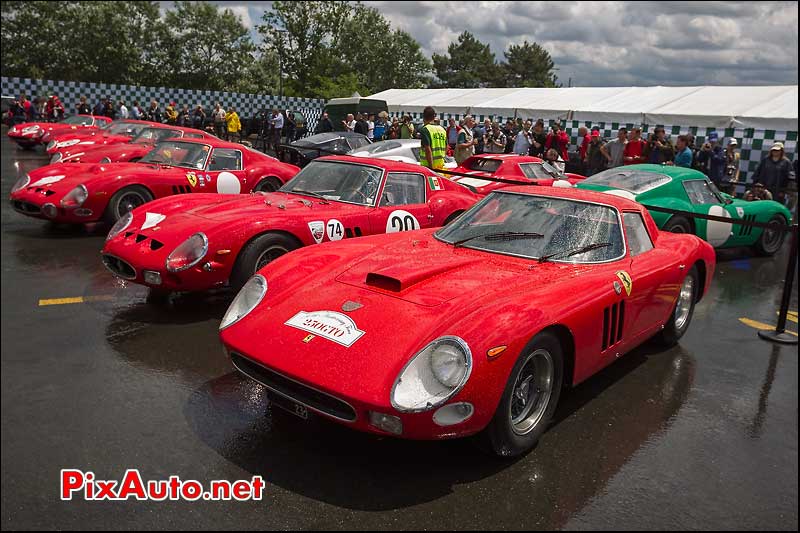 50th anniversary tour 250GTO LVMH le mans