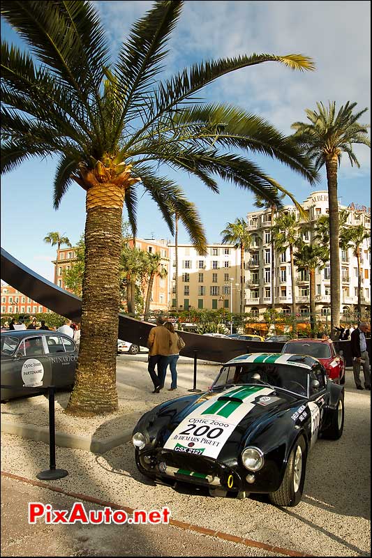 ac-cobra ludovic caron sous les palmiers de nice