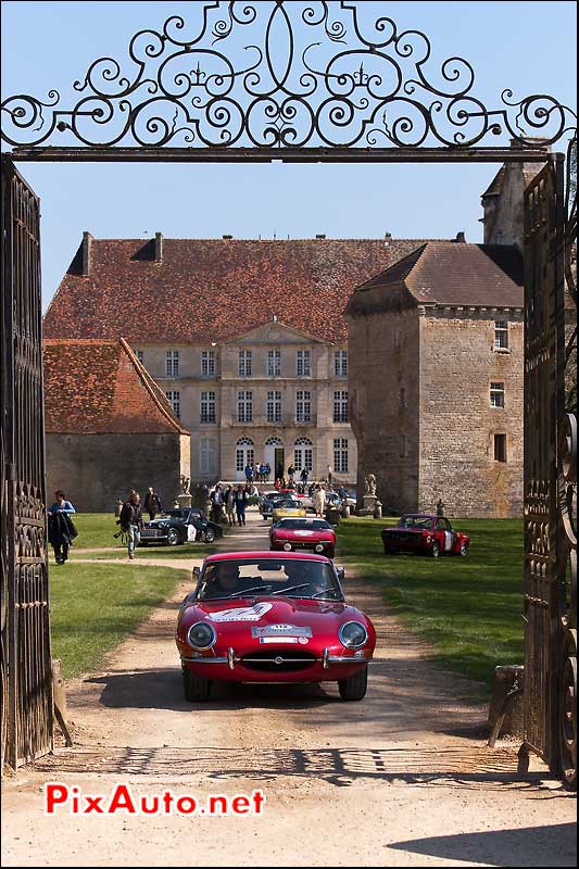 jaguar passant grille du chateau de Thenissey