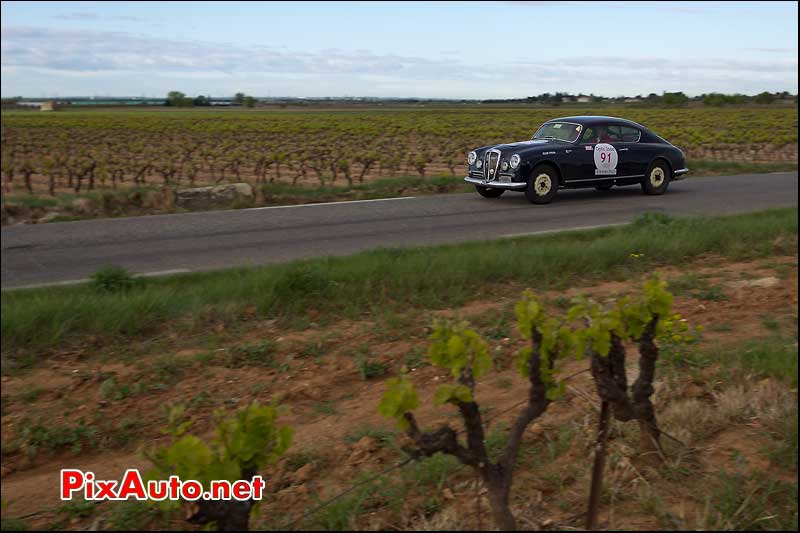 lancia aurelia au milieu des vignes tour auto