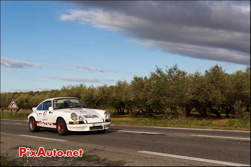 porsche 911 carrera au pied des oliviers