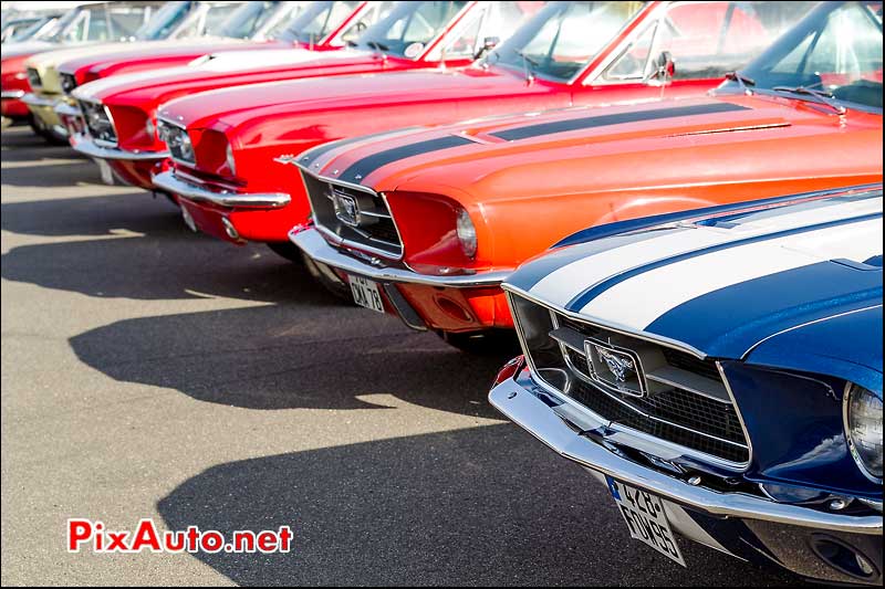 Ford Mustang, parkings Automedon