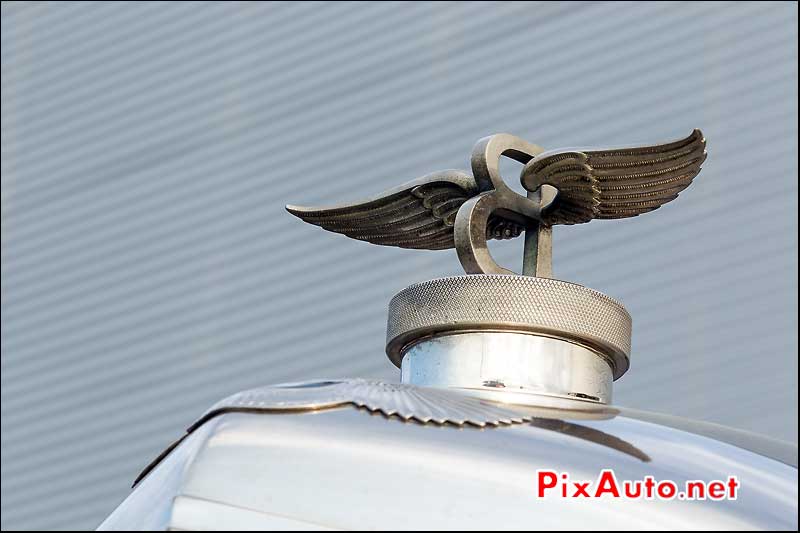 Mascotte Bentley, Parkings Salon Automedon