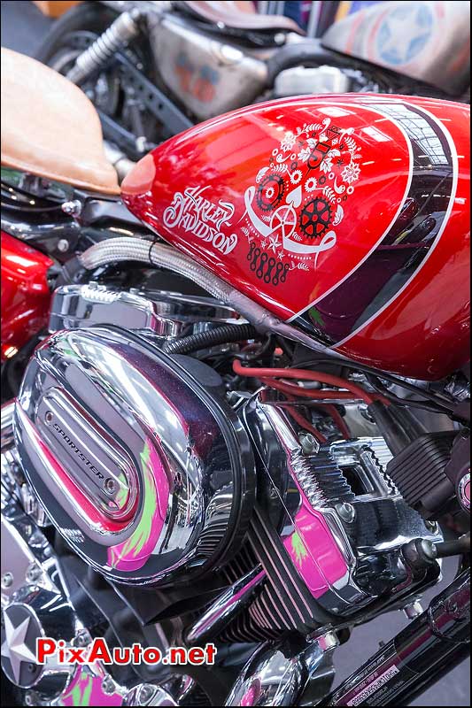 Peinture Perso Sportster Harley-Davidson, Salon Automedon