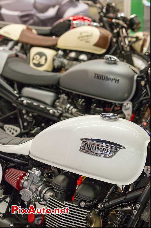 Prepartion concessionnaire Triumph, Salon Moto Legende