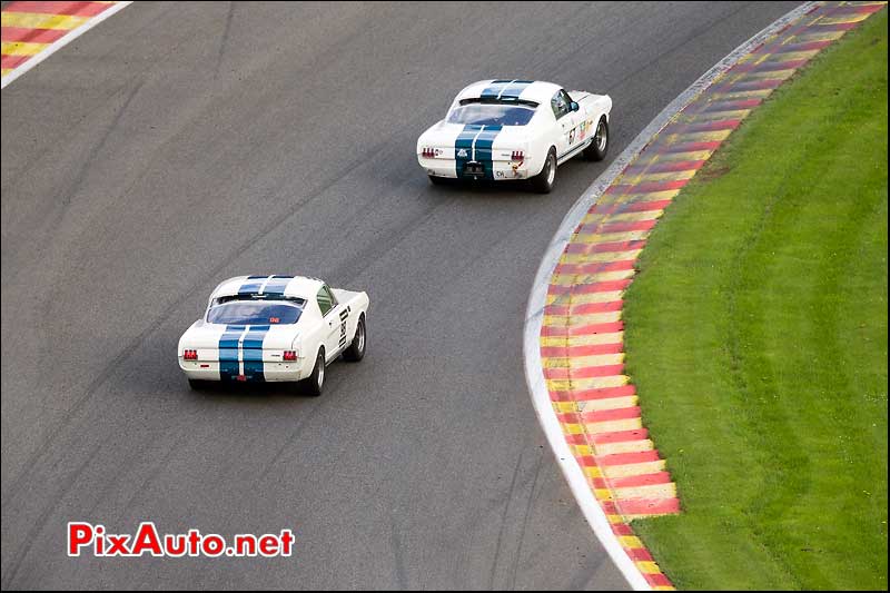 Ford Mustang Shelby, Sixties Endurance Spa-Classic 2013