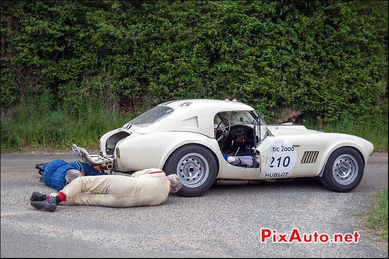 AC Cobra, n210, Tour Auto 2013