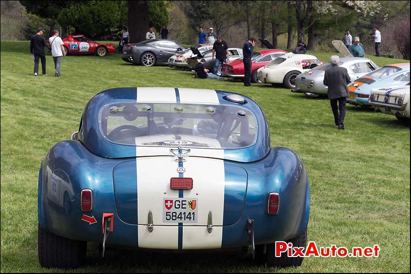 AC Cobra, n213, Pesteils Tour Auto 2013