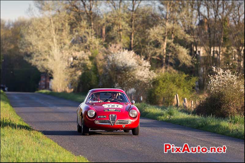 Alfa Romeo SZ, n181, Tour Auto 2013