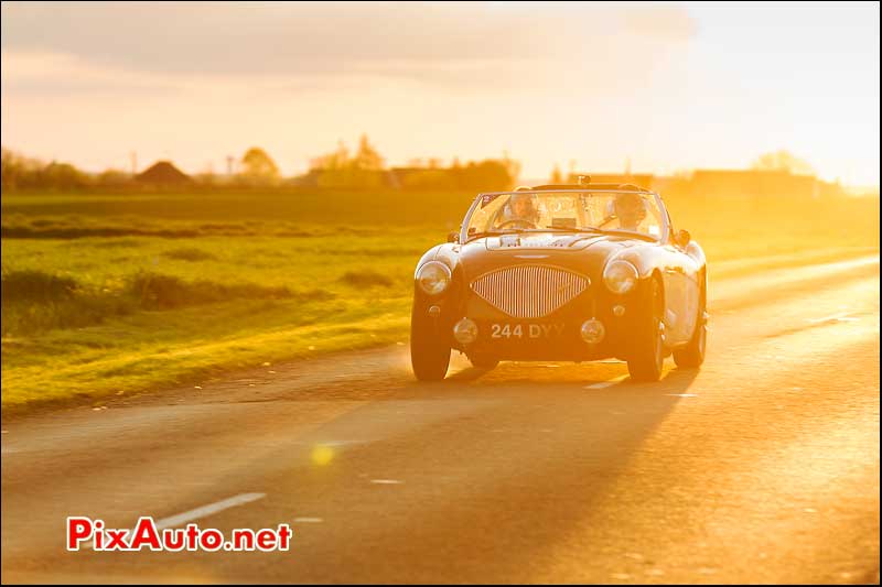 Austin Healey 100, n89, Tour Auto 2013