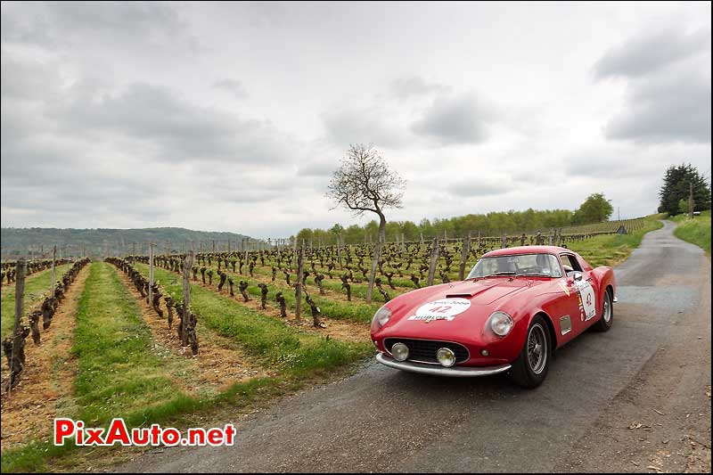 Ferrari 250GT TDF, n42, vignes Cahors, Tour Auto