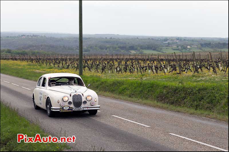 Jaguar mk1, n167, Tour Auto 2013