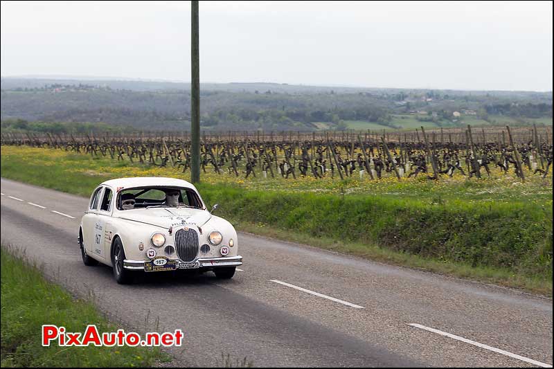 Jaguar mk1, n167, Tour Auto 2013