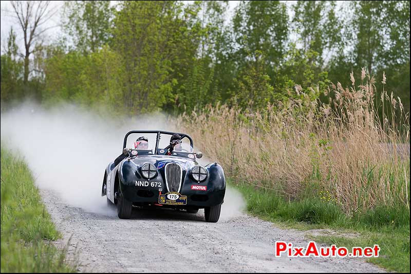 Jaguar XK120 roadster, n175, Tour Auto 2013