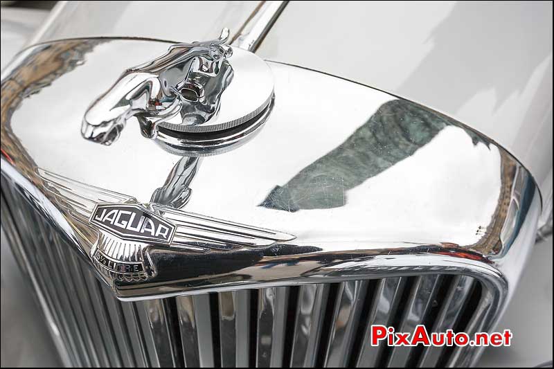 sigle jaguar mark V, reflet colonne vendome