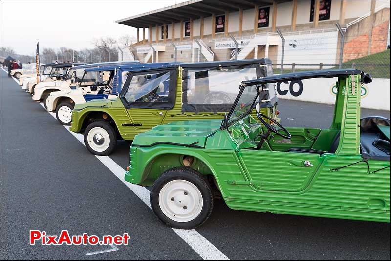 Citroen Mehari, Afterworrk Special 2 CV