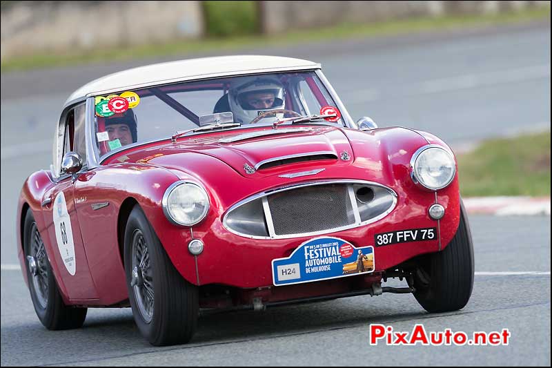 Austin Healey 3000, Coupes de Printemps 2014