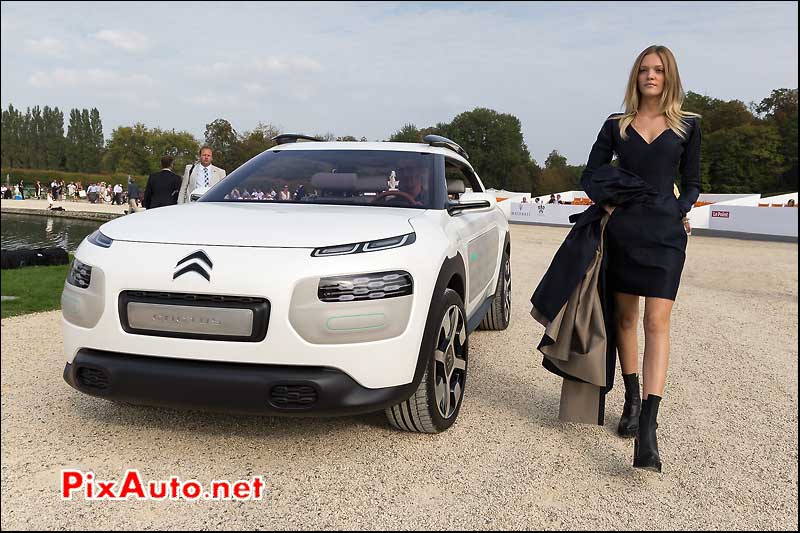 Art et Elegance, Concept Citroen Cactus Elsa Stroom