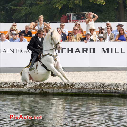 Chantilly Art et Elegance, Mario Luraschi dresseur chevaux