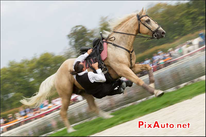 Chantilly Art et Elegance, Spectacle Equestre