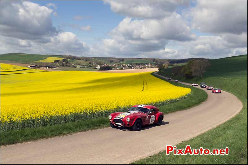 AC-Cobra 644CGT, Shaun Lynn, Champ Colza Yonne, Tour-Auto-Optic-2000