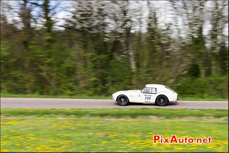 AC-Cobra,Tim Summers, route Yonne, Tour-Auto-Optic-2000