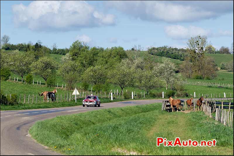 Alfa Romeo 1600GT, chevaux Saone et Loire, Tour-Auto-Optic-2000 