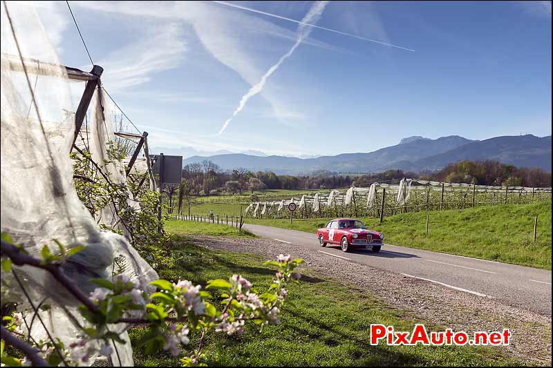 Alfa Romeo Giulietta Sprint Veloce,Vergers Savoie, Tour-Auto-Optic-2000