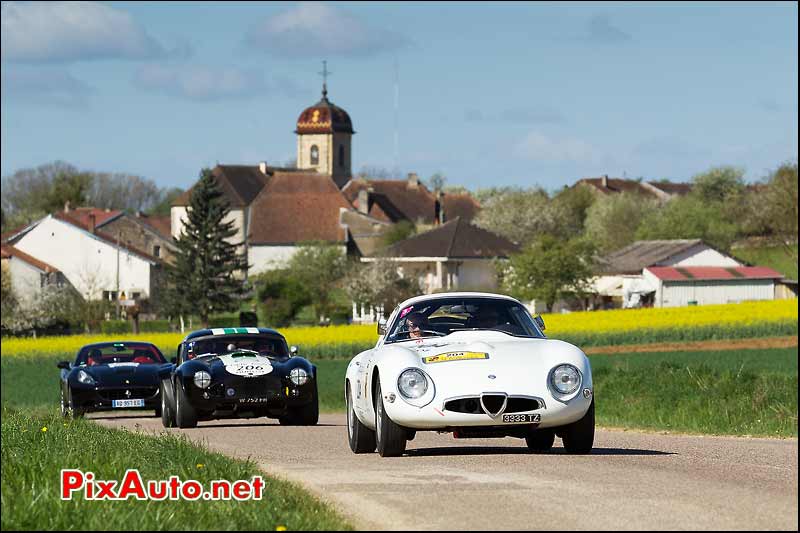 Alfa Romeo Tubular Zagato, AC-Cobra, Saint Marcel, Tour-Auto-Optic-2000 