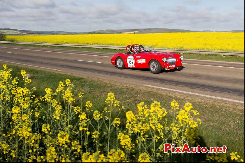 Austin Healey 100/4, Champ Colza, Tour-Auto-Optic-2000