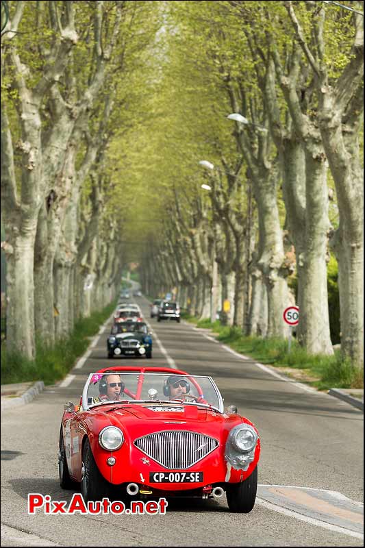 Austin Healey 100/4, platanes du Vaucluse, Tour-Auto-Optic-2000