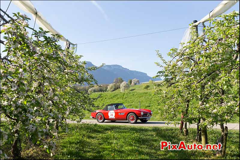 Cabriolet BMW 507, Vergers Savoie, Tour-Auto-Optic-2000