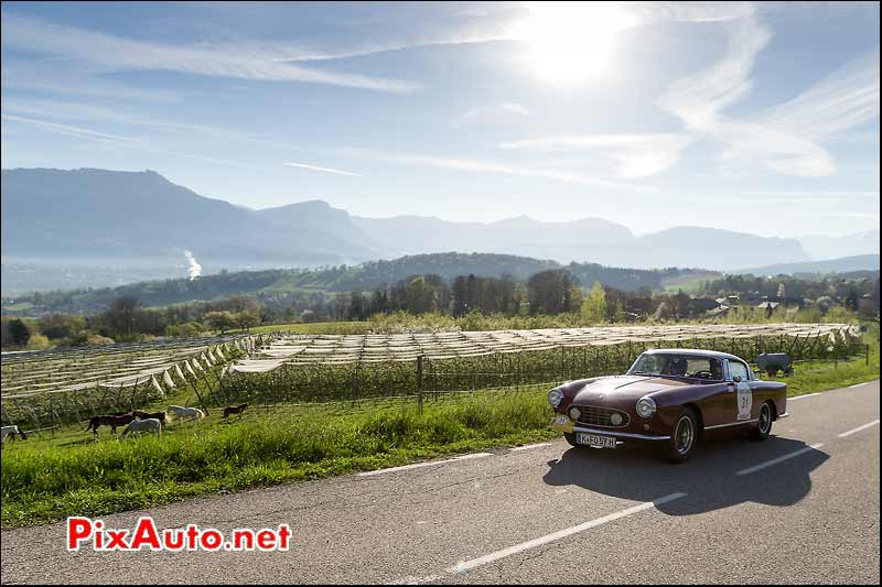 Ferrari 250 GT Boano, Vergers Savoie, Tour-Auto-Optic-2000