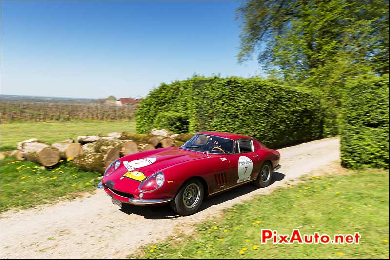 Ferrari 275 GTB4, vignoble de Rotalier, Tour-Auto-Optic-2000