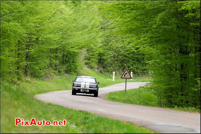 Ford Mustang numero256, Route Forestiere, Tour-Auto-Optic-2000