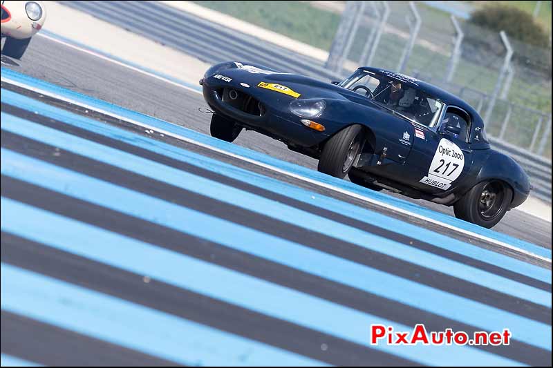 Jaguar E-Type n°217, circuit Paul Ricard, Tour-Auto-Optic-2000